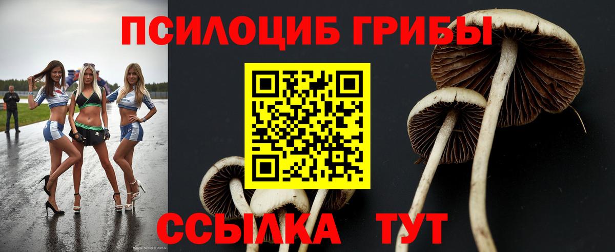 Рузаевка  Галлюциногенные грибы Psilocybe  Вход с VPN 